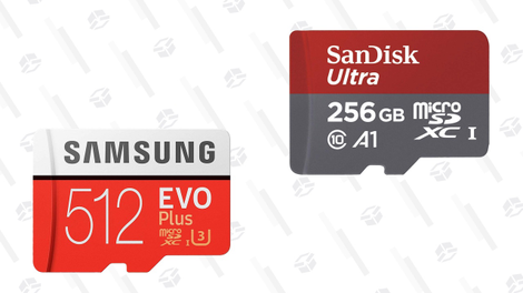 Samsung EVO Plus Class 10 Micro SDXC with Adapter | $87 | AmazonSanDisk 256GB Ultra microSDXC | $35 | Amazon